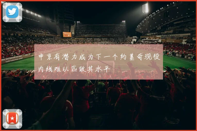 申京有潜力成为下一个约基奇现役内线难以匹敌其水平