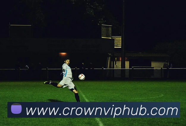 皇冠体育平台生态图