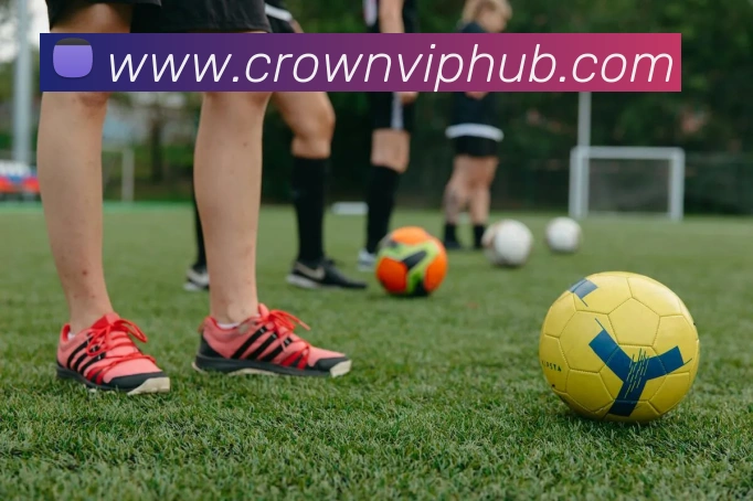 皇冠体育APP 封面图