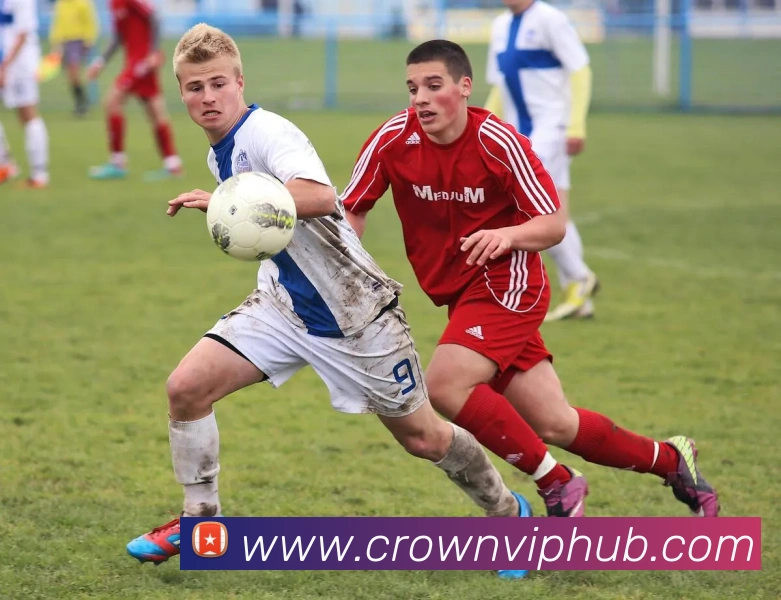 数据防护可视化